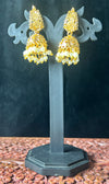 Traditional Gold-Tone Jhumkas with Pearl Drops